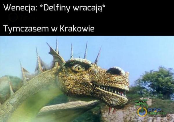 Wenecja: Delfiny wracają” Zetor =SZA ZL (ECO.