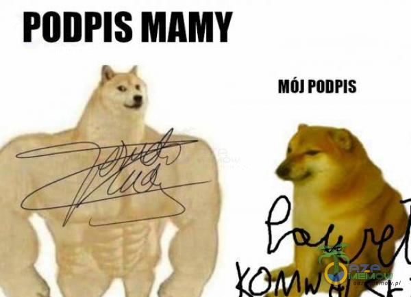 PAS MAMY WóL PODPIS