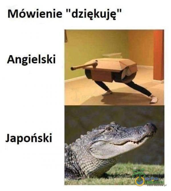 Mówienie dziękuję” Angielski Japoński