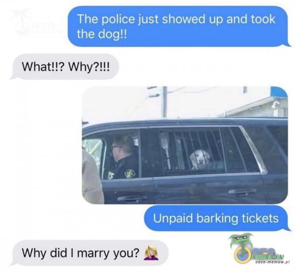 The police just showed up and took the dog!! What!!? Why?!!! Unpaid barking tickets Why did I marry you?