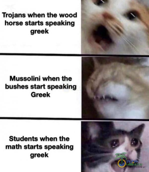 Trojans when the wood - horse starłs speaking greek Mussolini when the bushes start speaking Greek Students when the math starłs speaking greek