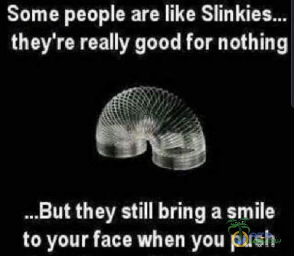 Some peoe are like they re really good for nothing ...But they Still bring a smile to your face when you push