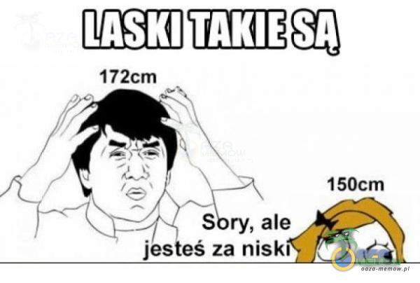 LASKI TAKIE sn 172cm 150cm S ry, ale jesteś za niski