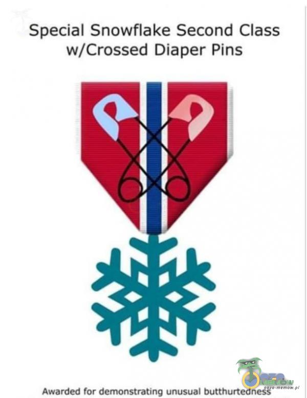 Special Snowflake Second Class w/Crossed Diaper Pins Awarded for demonstrating unusual butthurtedness