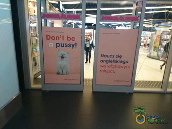 Don t be pussy! Naucz