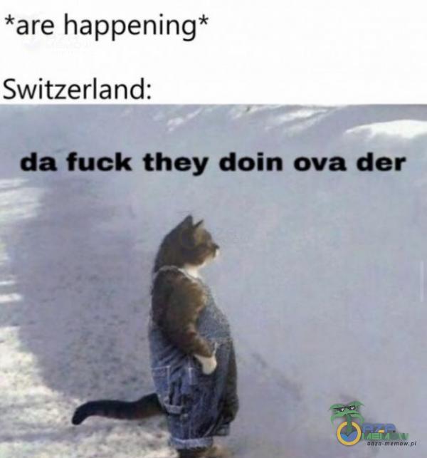 *are happening* Switzerland: da fuck they doin ova der