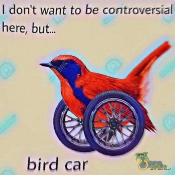 I don t Want to be controversial here, bird car