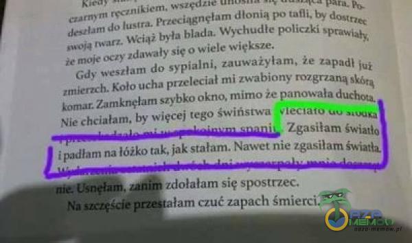   des.•lam do lustra. Przeciągnęłam dłonią po tafli. twarz. Wt•i4i była blada. Wychudłe policzki moie oczy zdawały sic 0 wiele większe, Gdy weszłam do sypialni, zauważyłam, Że Zapadł iui zmierzch. Koło ucha przeleciał mi zwabiony...