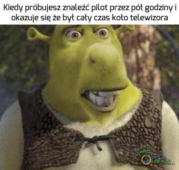 Kiedy próbujesz znaleźć pilot przez pót godziny i okazuje sie że byt cały czas koło telewizora