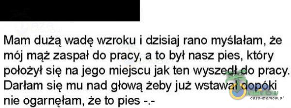  Mam dużą wadę wzroku i dzisiaj rano myślałam, że mój mąż zaspał do pracy, a to był nasz pies, który położył się na jego miejscu jak ten wyszedł do pracy. Darłam się mu nad głową żeby już wstawał dopóki nie ogarnęłam, że to...