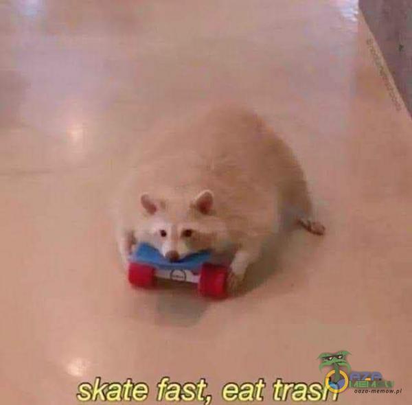Skate fast, eat trash