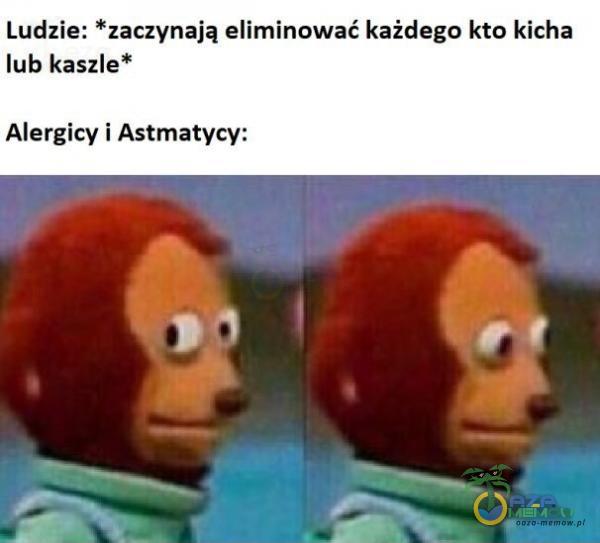 Ludzie: *zaczynają eliminować każdego kto kicha lub kaszle* Alergicy i Astmatycy: