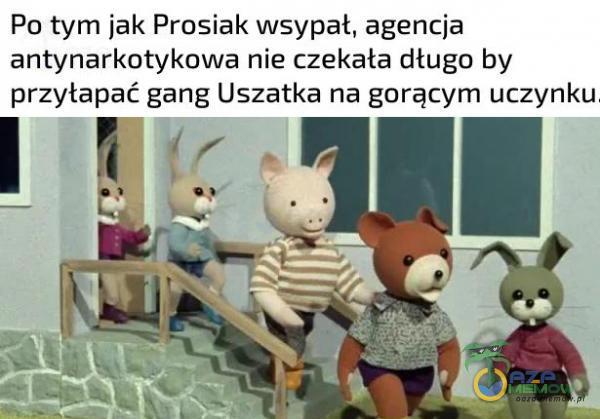 Po tym jak Prosiak wsypał, agencja antynarkotykowa nie czekała długo by aa gang Uszatka na gorącym uczynku.