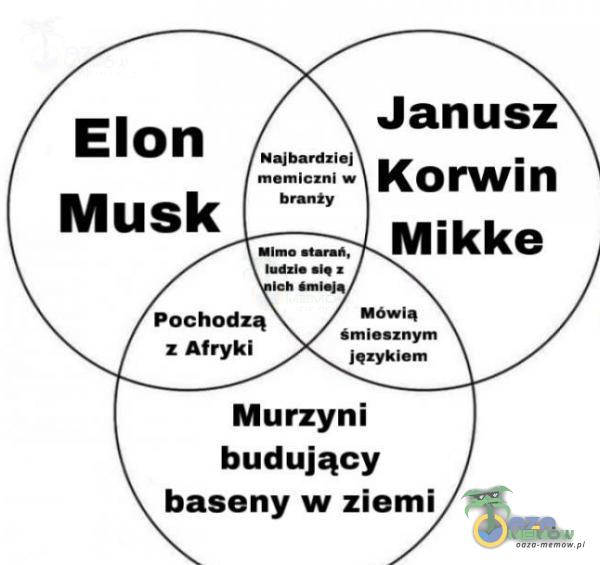 Elon Janusz Najbardziej Korwin memiczni w Musk branży Mikke Mimo ludzie z Pochodzą z Afryki Mówią Śmiesznym Murzyni budujący baseny w ziemi