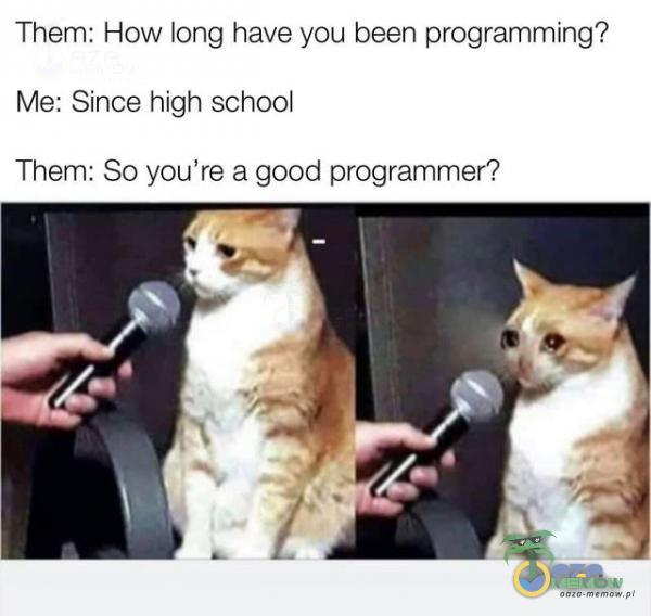 Them: Hów long have yau been programming? Me: Since high school Them: So you re a good programmer?