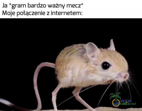 gram bardzo ważny mecz” połączenie z internetem: