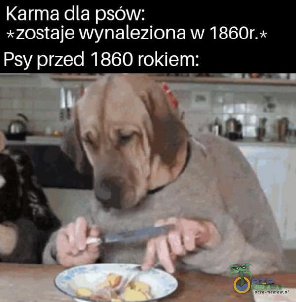 Karma dla psów: *zostaje wynaleziona w 1860r.* Psy przed 1860 rokiem: