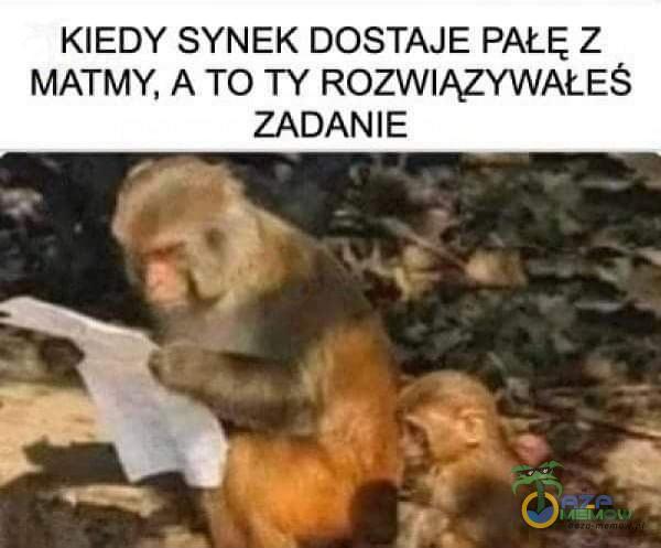 KIEDY SYNEK DOSTAJE PAŁĘ ?. MATMY. „A TO TY ROZWIĄZYWAŁEŚ ZADANIE