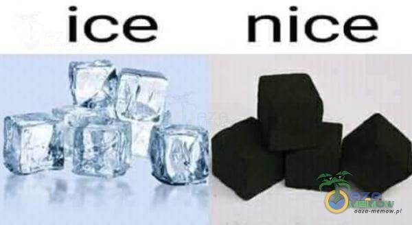 ice nice