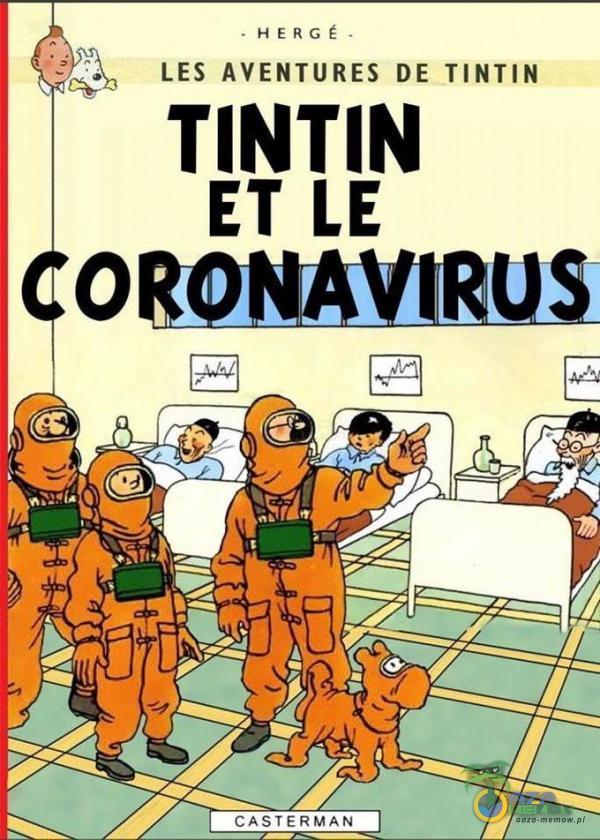 LES AVENTURES DE TINTIN