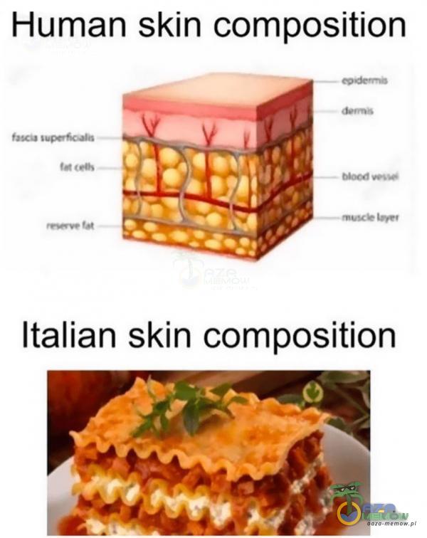 Human skin position Italian skin position