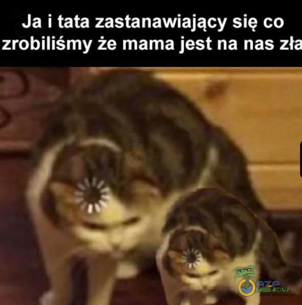 Ja i tata zastanawiający się co zrobiliśmy że mama jest na nas zła