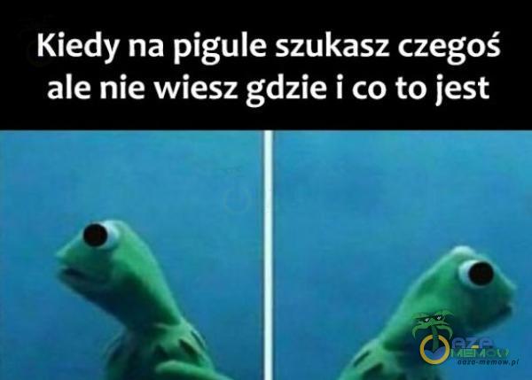 Kiedy na pigule szukasz czegoś ale nie wiesz gdzie i co to jest