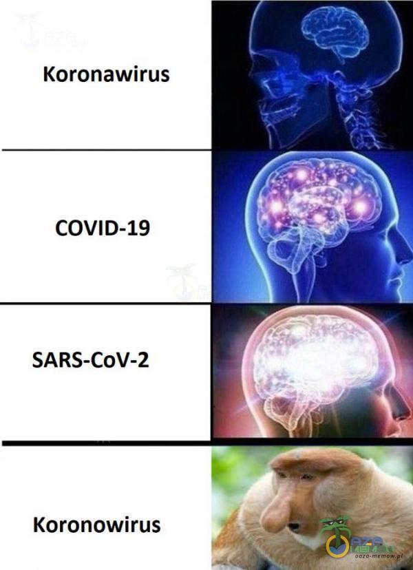 Koronawirus COVID-19 SARS-COV-2 Koronowirus
