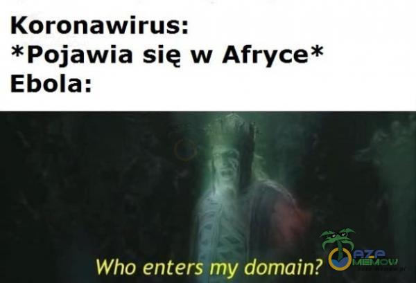 Koronawirus: *Pojawia się w Afryce* Ebola: Who enters my domain