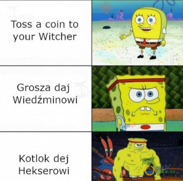 Toss a coin to your Witcher Grosza daj Wiedźmniinowi Kotlok dej Hekserowi