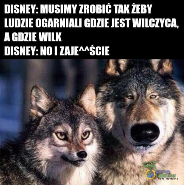 DISNEY: MUSIMY ZRORIĆ TAK ŻERY ULICY IZY I IOZA (EM WIA JIL DISNEY: NO I ZAJEŹŚŚCIE AEG