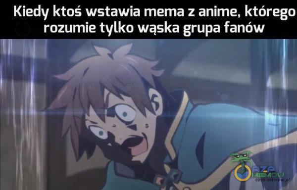 Kiedy ktoś wstawia mema : anime. którego rozumie tylko wąska grupa fanów