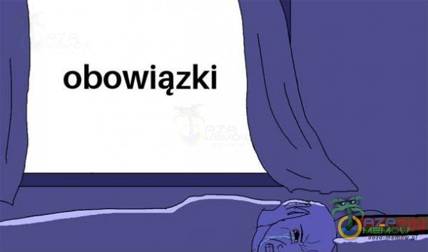 obowiązki p Z