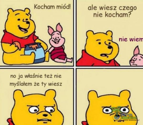 ale wiesz czego nie kocham? nie wiśr no ja właśnite też me myślałam ze ty wiesz