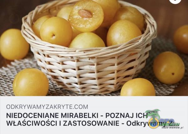 NIEDOCENIANE MIRABELKI - POZNAJ ICH WŁAŚCIWOŚCI I ZASTOSOWANIE - Odkrywamy