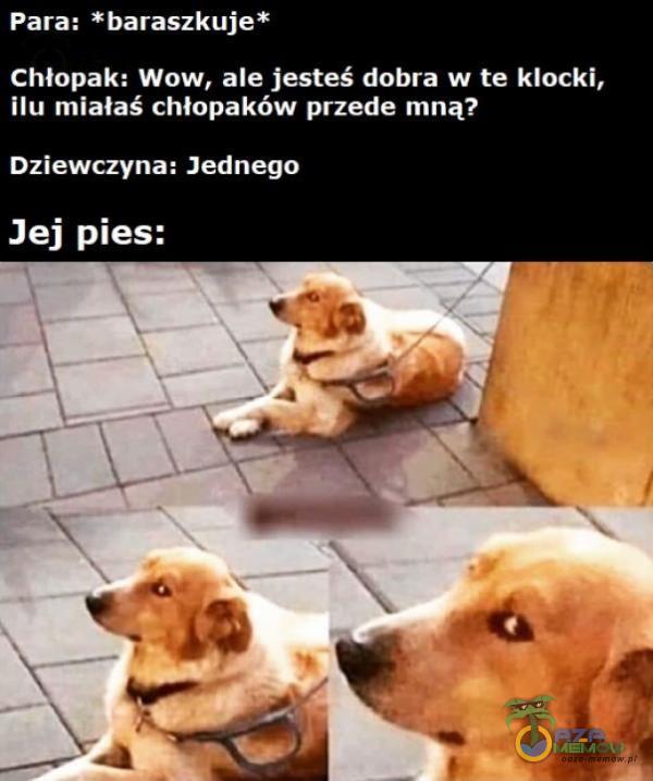 Para: *baraszkuje* p JY OTRA E- TO E E DT ilu miałaś chłopaków przede mna? Dziewczyna: Jednego Jej pies: 9 m e m- _ i JE, i- : 5 _