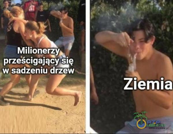 Milionerzyă prześcigający się w sadzeniu drzew Ziemia