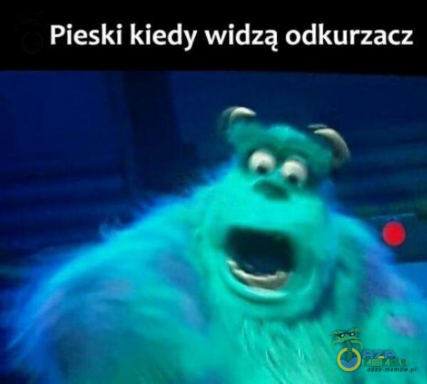 Pieski kiedy widzą odkurzacz