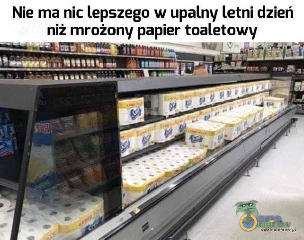 Nie ma nic lepszego w upalny letni dzień niż mrożony papier toaletowy