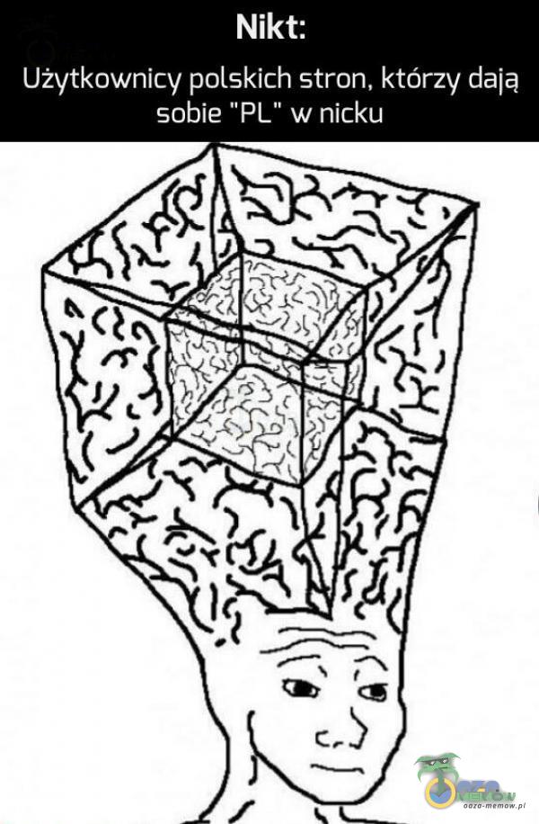 Nikt: Użytkownicy polskich stron, którzy dają sobie PL” w nicku