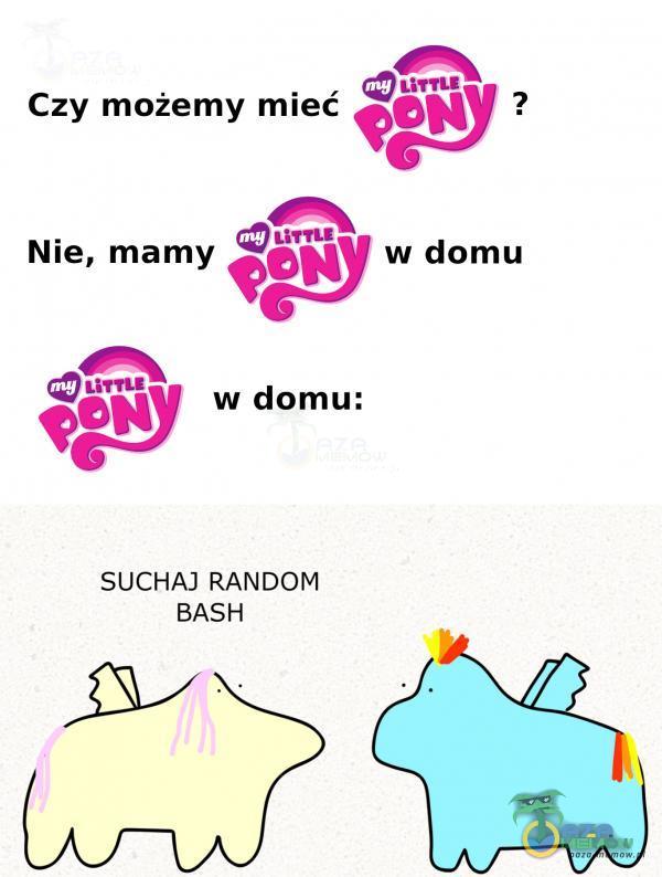 Czy możemy mieć Nie, mamy w domu: SUCHA) RANDOM BASH w domu