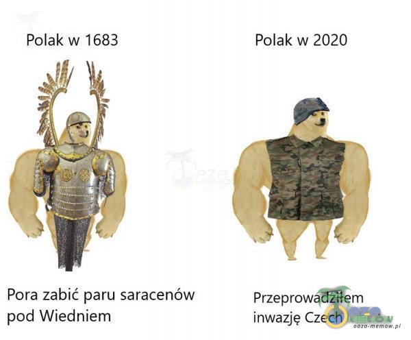 Polak w 1683 Polak w 2020 Pora zabić paru saracenów Przeprowadziłem pod Wiedniem inwazję Czech