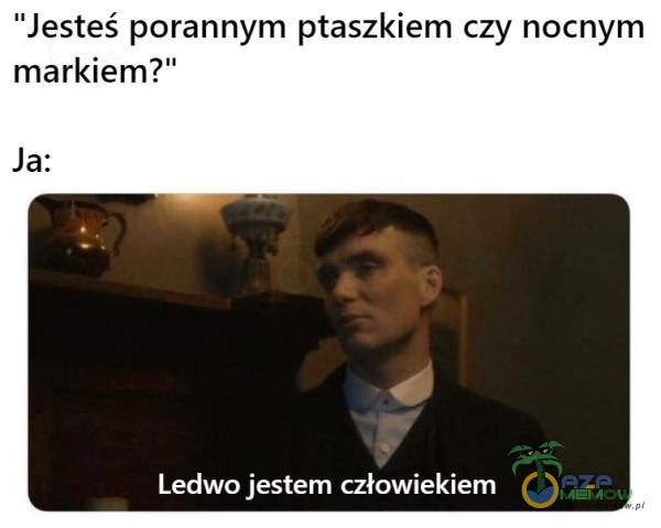 Codziennie tylko śmieszne memy, pasty, gify, suchary i filmy - przeglądaj, komentuj, dodawaj własne!