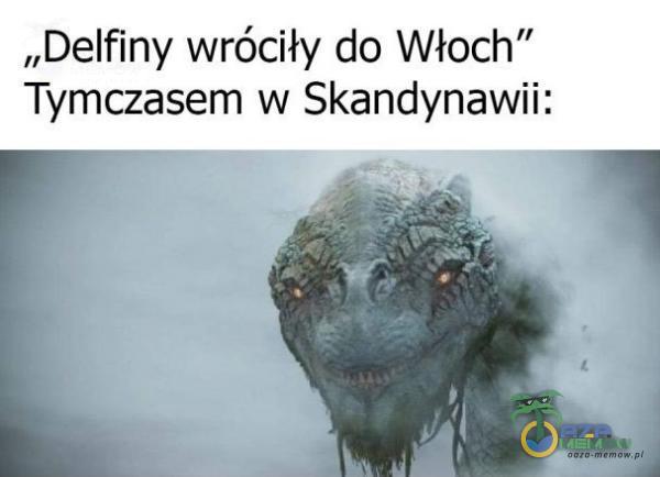 „Delfiny wróciły do Włoch” Tymczasem w Skandynawii: