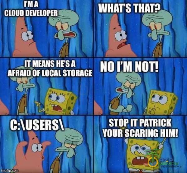 rMA CLOUD DEVELOPER -ITMEANS HE SA AFRAID OF LOCAL STORAGE WHATS NO I M NOT! STOP PATRICK YOUR SCARING HIM!