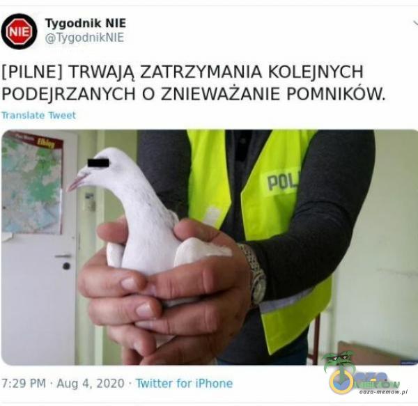 [PILNE] TRWAJĄ ZATRZYMANIA KOLEJNYCH PODEJRZANYCH O ZNIEWAŻANIE POMNIKÓW.