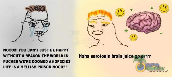 NOOO!!! YOU CAN T JUST BE HAPFY WITHOUT A REASON THE WORLD IS Haha serotonin brain juice go prrrr |FUCKED WE RE DOOMED AS SPECIES z LIFE 1S A HELLISH PRISON NOOOJII