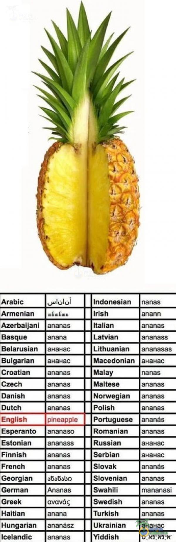  Arabic lasloko! indonaśian_|tsńge Armenian | ian Irish lan Aaersaljani, Jaras | |iallan Janta Basqus _ |asnsa Latyaq aan Balarusian |avmiac__| |Efhoanian_ |ananacas Butganian |asasac Macedonian |ananoc. Eratim_ |emrm Matay, pre Gzech jara Maltese...