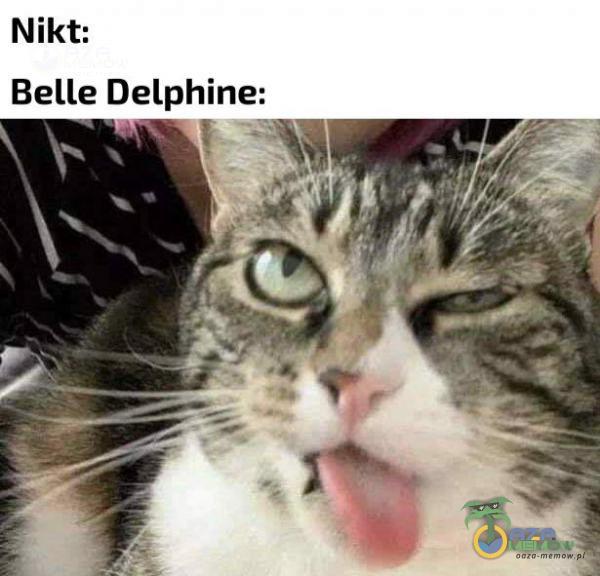 Nikt: Belle Delphine: