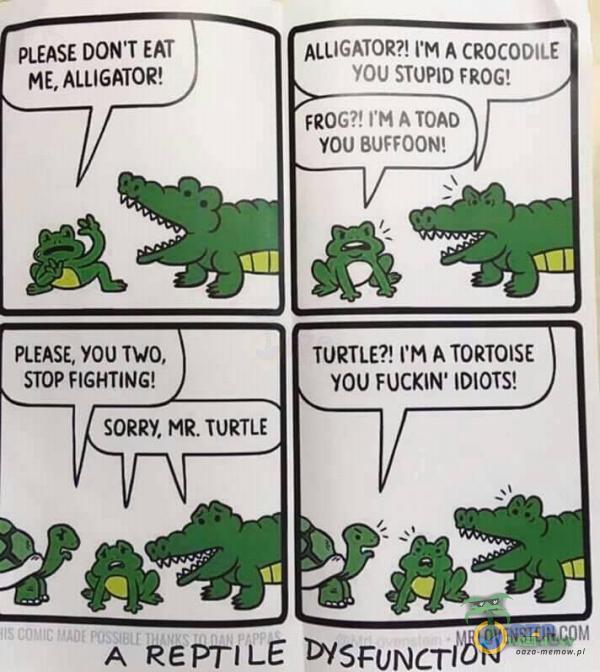PLEASE DON T EAT ME, ALLIGATOR! PLEASE, YOU TWO, STOP FIGHTING! ALLIGATOR?! I M A CROCODILE YOU STOPID FROG! FROG?! I M A TOAD YOU BUFFOON! TORTLE?! CM A TORTOISE FUCKIN IDIOTS! SORRY. MR. TURTLE O [NSI[ A REPTILE DYSFUNCTŕbŃ